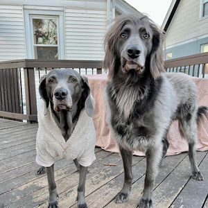 Meet your Posher, Jill